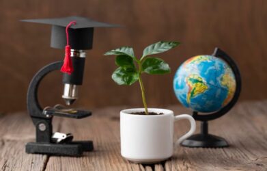 Educationbeing com