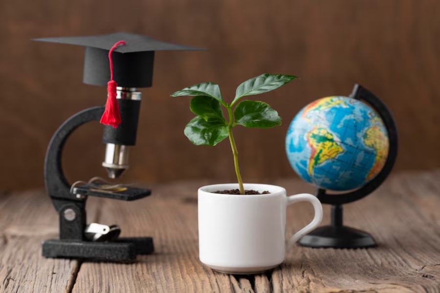 Educationbeing com