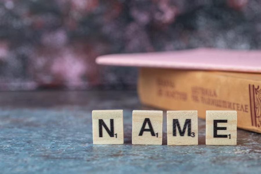 Is My Business Name Taken